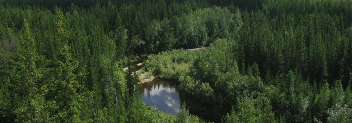 Arctic areas of the Siberian taiga in northern Russia are no longer represented in the INTERACT project's monitoring system. Photo: Lyudmila LebedevaCC BY-NC-SA 3.0 DEED Attribution-NonCommercial-ShareAlike 3.0 Unported