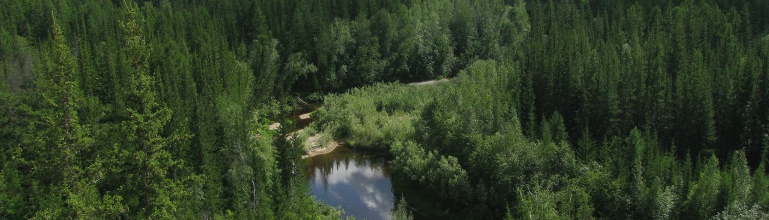 Arctic areas of the Siberian taiga in northern Russia are no longer represented in the INTERACT project's monitoring system. Photo: Lyudmila LebedevaCC BY-NC-SA 3.0 DEED Attribution-NonCommercial-ShareAlike 3.0 Unported