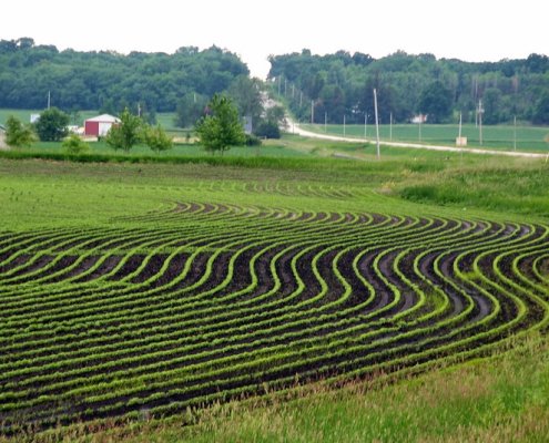 Summer soil moisture increased in 57 percent of the continental United States between 2011 and 2020. Photo: Carl Wycoff CC BY 2.0 DEED Attribution 2.0 Generic