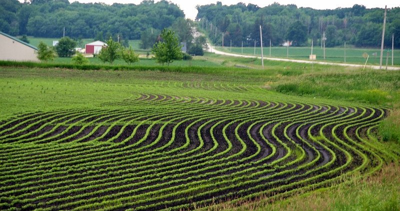 Summer soil moisture increased in 57 percent of the continental United States between 2011 and 2020. Photo: Carl Wycoff CC BY 2.0 DEED Attribution 2.0 Generic
