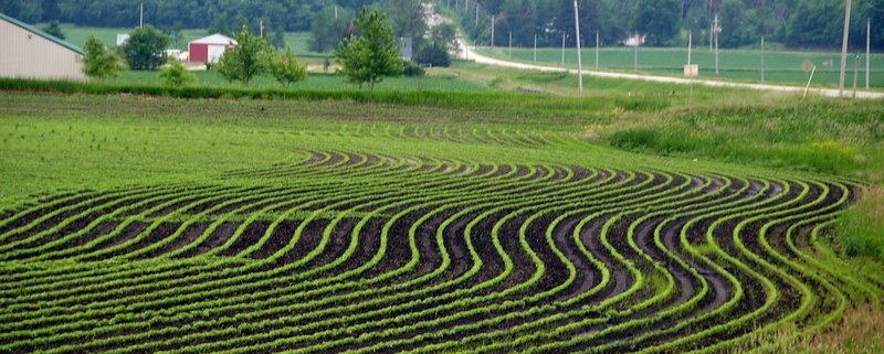 Tra il 2011 e il 2020 l'umidità estiva del suolo è aumentata nel 57% del territorio degli Stati Uniti continentali. Foto: Carl Wycoff CC BY 2.0 DEED Attribution 2.0 Generic