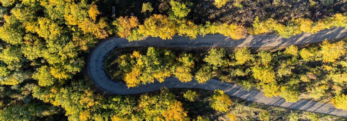 L'uso delle nuove tecnologie permette un migliore monitoraggio delle foreste mondiali. FOTO: Matteo Berlenga.