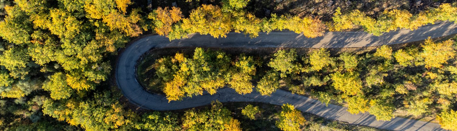 L'uso delle nuove tecnologie permette un migliore monitoraggio delle foreste mondiali. FOTO: Matteo Berlenga.