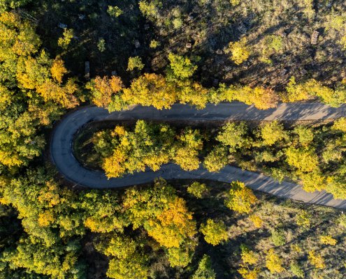 L'uso delle nuove tecnologie permette un migliore monitoraggio delle foreste mondiali. FOTO: Matteo Berlenga.