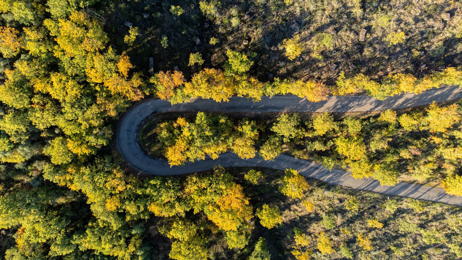 L'uso delle nuove tecnologie permette un migliore monitoraggio delle foreste mondiali. FOTO: Matteo Berlenga.