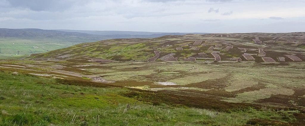 La pratica del "muirburn" sulle torbiere crea un enorme danno ambientale. FOTO: Rosser1954 CC 4.0