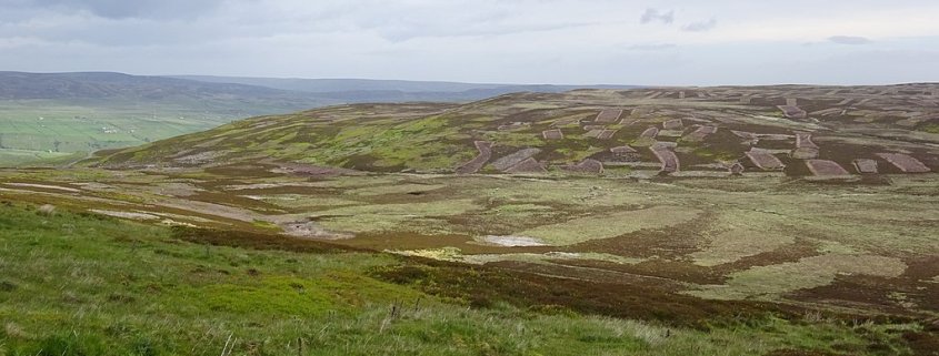 La pratica del "muirburn" sulle torbiere crea un enorme danno ambientale. FOTO: Rosser1954 CC 4.0