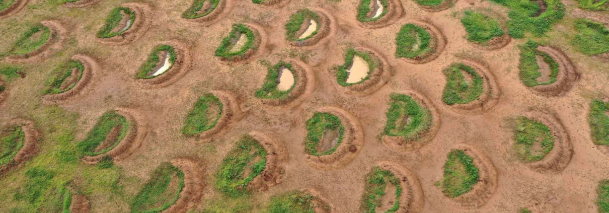 Larghe 5 metri e lunghe 2, viste dall'alto le buche appaiono dei “sorrisi della Terra” che intercettano l'acqua piovana invece di farla disperdere lungo i pendii. FOTO: Justdiggit