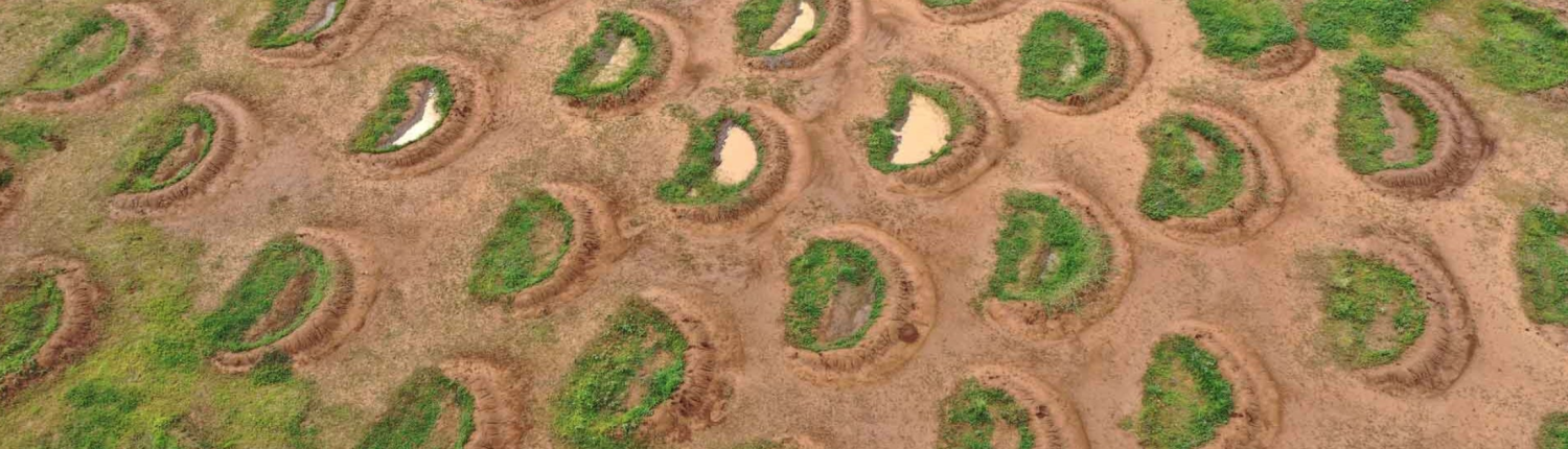 Larghe 5 metri e lunghe 2, viste dall'alto le buche appaiono dei “sorrisi della Terra” che intercettano l'acqua piovana invece di farla disperdere lungo i pendii. FOTO: Justdiggit