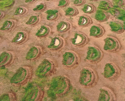 Larghe 5 metri e lunghe 2, viste dall'alto le buche appaiono dei “sorrisi della Terra” che intercettano l'acqua piovana invece di farla disperdere lungo i pendii. FOTO: Justdiggit