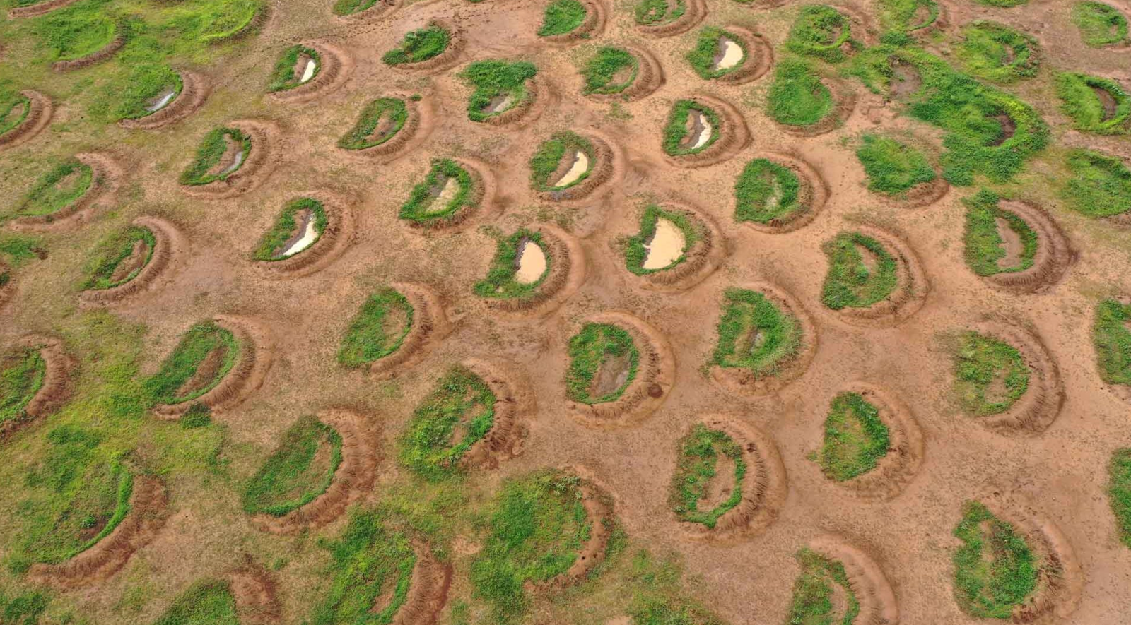 Larghe 5 metri e lunghe 2, viste dall'alto le buche appaiono dei “sorrisi della Terra” che intercettano l'acqua piovana invece di farla disperdere lungo i pendii. FOTO: Justdiggit