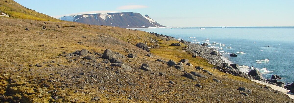 Bacteria were detected in soils of the Franz Joseph Land archipelago in the Arctic Ocean. Photo: Wofratz CC BY-SA 2.5 DEED Attribution-ShareAlike 2.5 Generic