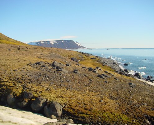 Bacteria were detected in soils of the Franz Joseph Land archipelago in the Arctic Ocean. Photo: Wofratz CC BY-SA 2.5 DEED Attribution-ShareAlike 2.5 Generic