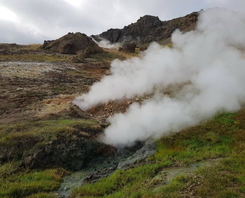 Per comprendere l’effetto del clima sui microbi i ricercatori hanno esaminato una prateria subartica in Islanda soggetta, da oltre mezzo secolo, al riscaldamento geotermico. Foto: Christina Kaiser Universität Wien Press Release