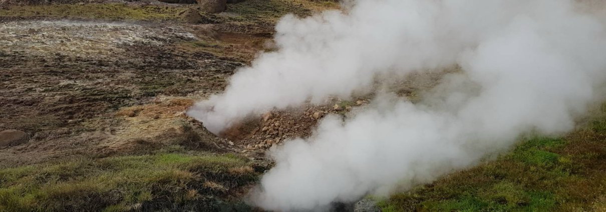 Per comprendere l’effetto del clima sui microbi i ricercatori hanno esaminato una prateria subartica in Islanda soggetta, da oltre mezzo secolo, al riscaldamento geotermico. Foto: Christina Kaiser Universität Wien Press Release