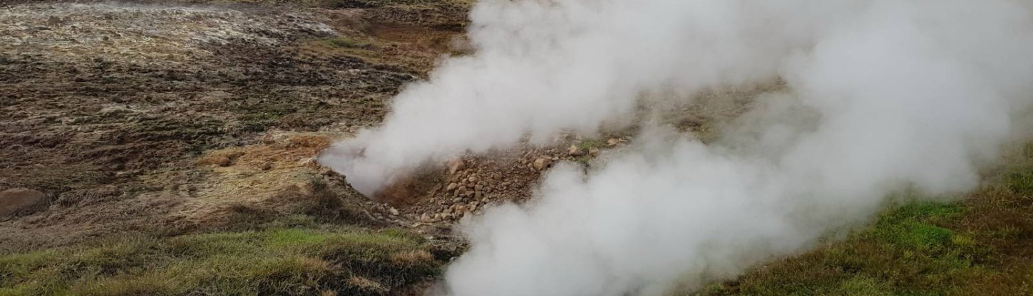 Per comprendere l’effetto del clima sui microbi i ricercatori hanno esaminato una prateria subartica in Islanda soggetta, da oltre mezzo secolo, al riscaldamento geotermico. Foto: Christina Kaiser Universität Wien Press Release