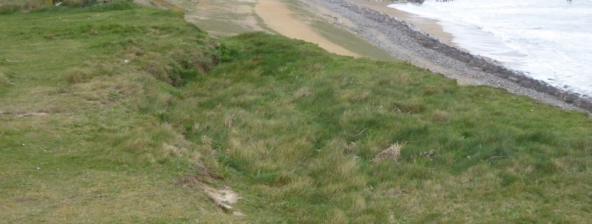 Subsidence, or the lowering of the land surface due to the removal of material from underground, impacts 25 percent of the Planet's population. Photo: David Smith and licensed for reuse under this Creative Commons Licence CC BY-SA 2.0 DEED Attribution-ShareAlike 2.0 Generic