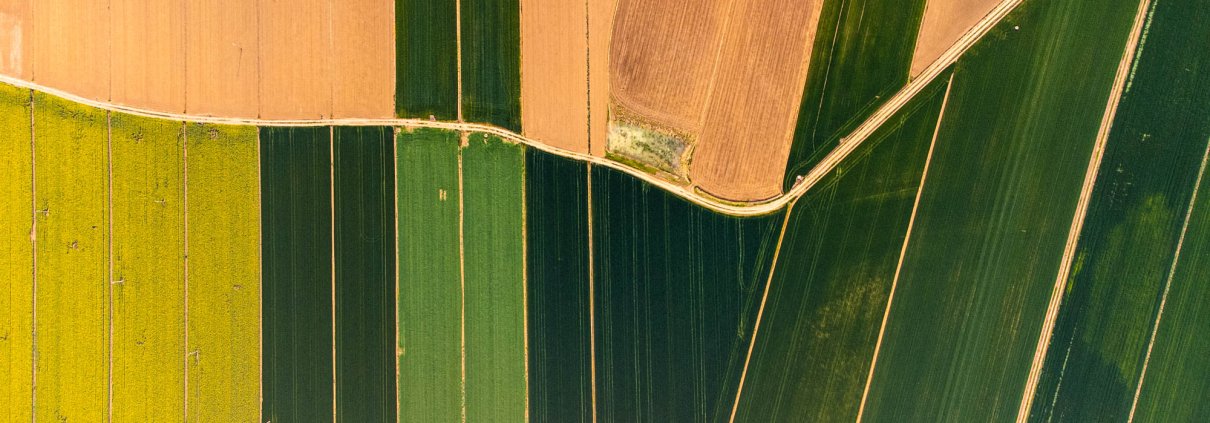 Nel 2022, solo l'8% della superficie coltivata in Europa era gestita con soluzioni 4.0. FOTO: Matteo Berlenga.