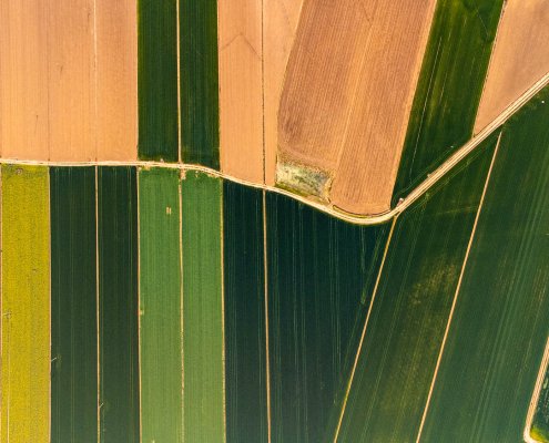 Nel 2022, solo l'8% della superficie coltivata in Europa era gestita con soluzioni 4.0. FOTO: Matteo Berlenga.