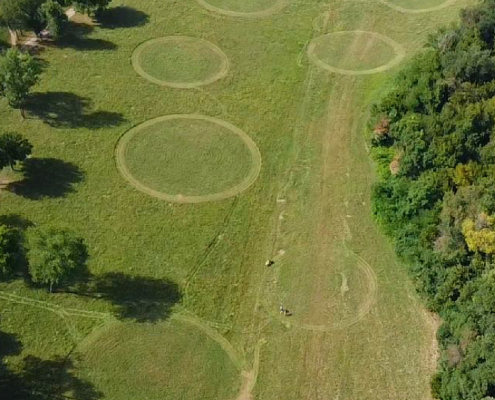 Nella storica area verde di Villa Doria Pamphilj, la FAO, in collaborazione con Roma Capitale, pianterà più di 90 specie di alberi, in rappresentanza di 7 aree geografiche di tutto il mondo. FOTO: Archivio FAO