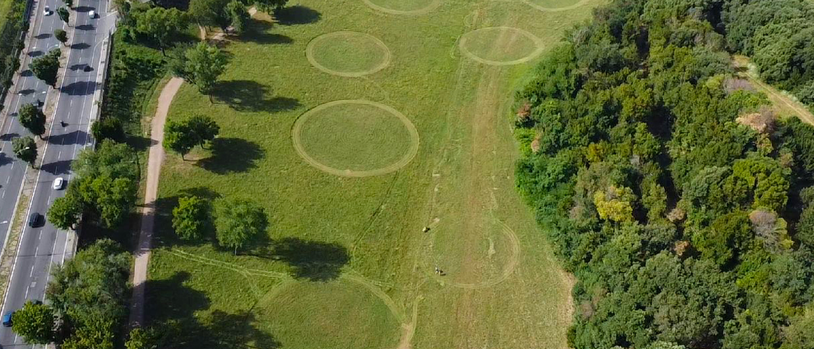 Nella storica area verde di Villa Doria Pamphilj, la FAO, in collaborazione con Roma Capitale, pianterà più di 90 specie di alberi, in rappresentanza di 7 aree geografiche di tutto il mondo. FOTO: Archivio FAO