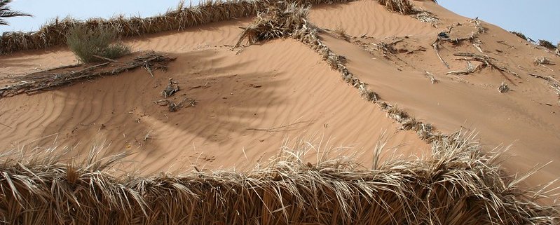 I microbi possono rappresentare una soluzione valida per gestire la desertificazione. Foto: Richard Allaway CC BY 2.0 DEED Attribution 2.0 Generic