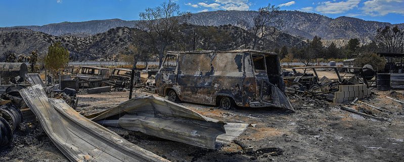 Quando non hanno abbastanza tempo per riprendersi prima di un'altra siccità o di un incendio gli ecosistemi possono subire danni permanenti. Foto: Russ Allison Loar CC BY-NC-ND 2.0 DEED Attribution-NonCommercial-NoDerivs 2.0 Generic