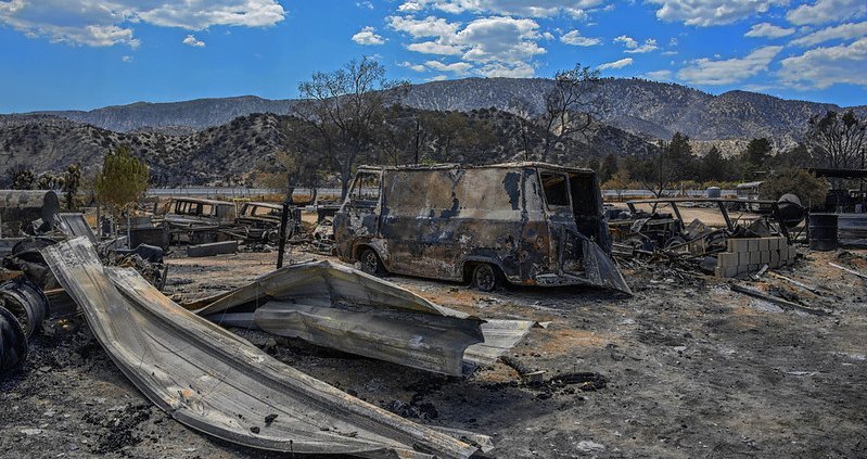 Quando non hanno abbastanza tempo per riprendersi prima di un'altra siccità o di un incendio gli ecosistemi possono subire danni permanenti. Foto: Russ Allison Loar CC BY-NC-ND 2.0 DEED Attribution-NonCommercial-NoDerivs 2.0 Generic