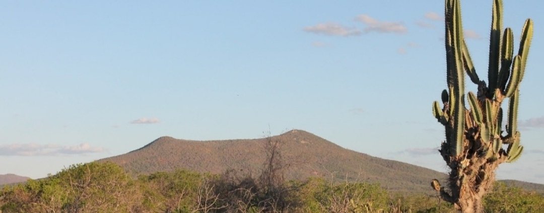Lo studio sui microbi si è basato sull’analisi di ricerche precedenti realizzate nella foresta di Caatinga, nel Brasile orientale. Foto: Cesar Coelho CC BY-SA 4.0 DEED Attribution-ShareAlike 4.0 International