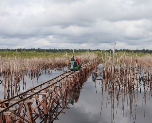 Degradation of peatlands generates 5% of anthropogenic emissions. Photo: Pixabay, Pixabay Licence