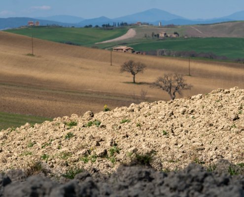 Il premio bandito dal CINSA si rivolge alle tesi che propongono soluzioni tech & digital a problematiche agronomiche e ambientali. FOTO: Matteo Berlenga.