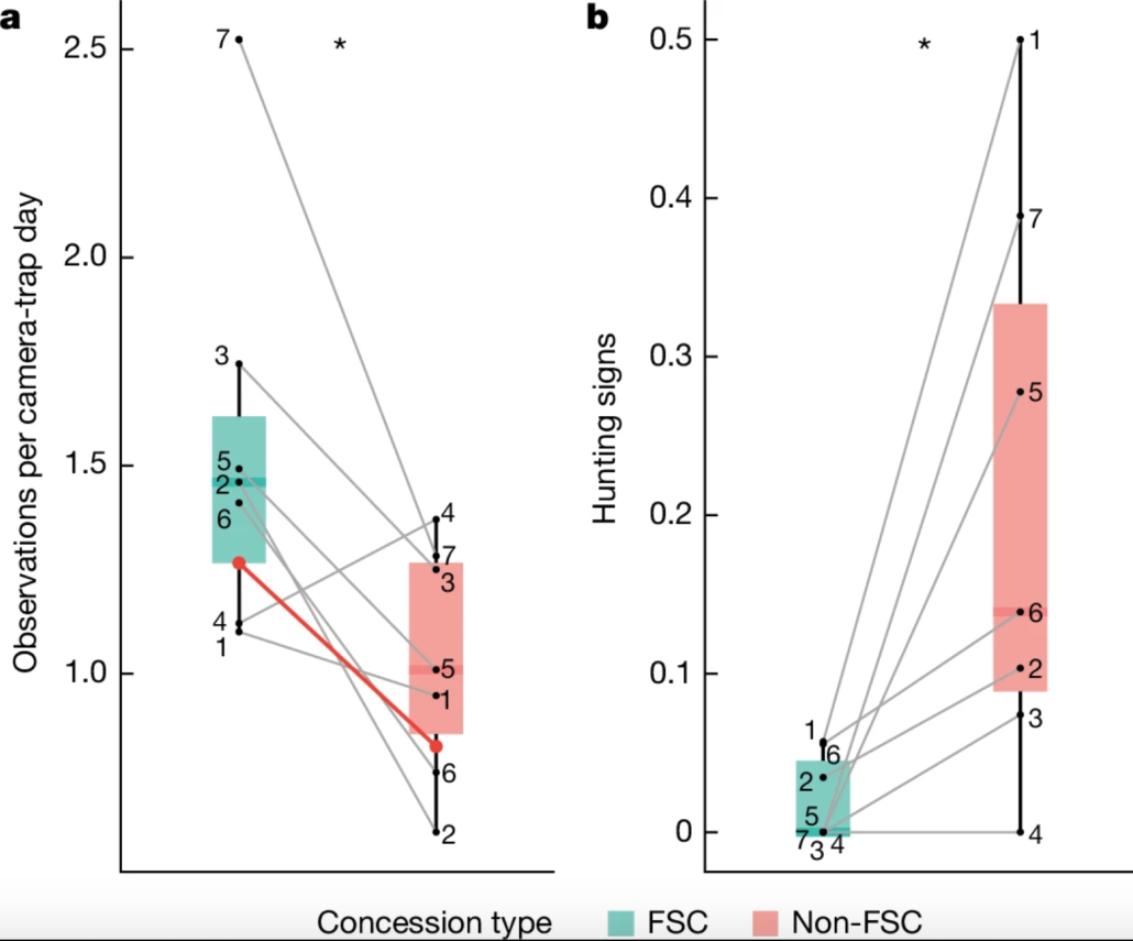 Tasso di incontro di tutti i mammiferi osservati (a) e percentuale di posizioni delle telecamere con segni di caccia. FONTE: Zwerts, J.A., Sterck, E.H.M., Verweij, P.A. et al. FSC-certified forest management benefits large mammals compared to non-FSC. FONTE: Nature 628, 563–568 (2024). https://doi.org/10.1038/s41586-024-07257-8