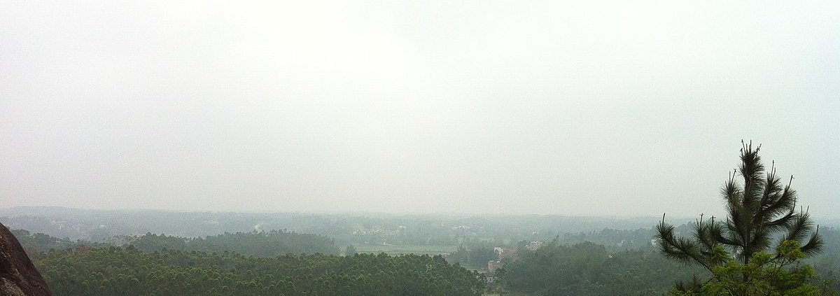 China's southern forests contribute to the accumulation of more than half of the organic carbon stored in the country's forest ecosystem. Photo: 揭英明 CC BY-SA 3.0 DEED Attribution-ShareAlike 3.0 Unported