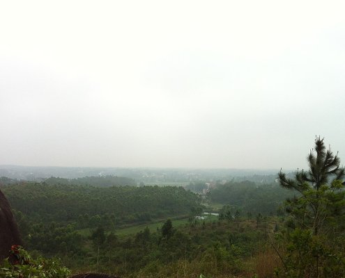 China's southern forests contribute to the accumulation of more than half of the organic carbon stored in the country's forest ecosystem. Photo: 揭英明 CC BY-SA 3.0 DEED Attribution-ShareAlike 3.0 Unported