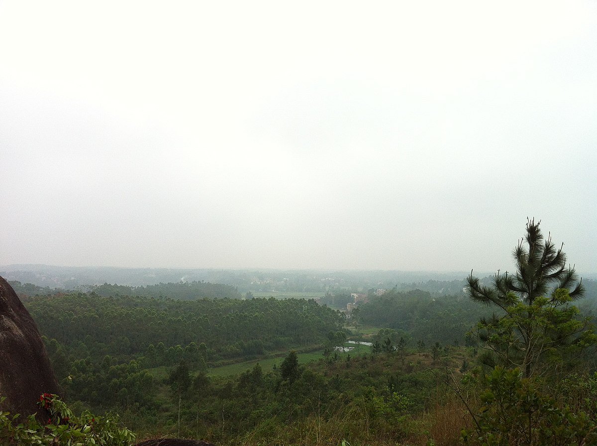 Le foreste meridionali della Cina contribuiscono allo stoccaggio di oltre la metà del carbonio organico immagazzinato nell'ecosistema boschivo del Paese. Foto: 揭英明 CC BY-SA 3.0 DEED Attribution-ShareAlike 3.0 Unported