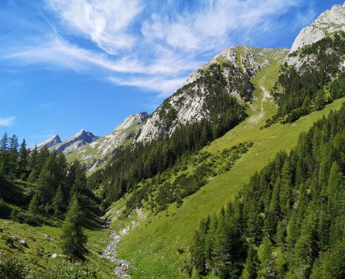 I prati di montagna costituiscono uno dei più grandi serbatoi di carbonio organico del suolo nell'Europa centrale. Foto: crash71100 CC0 1.0 DEED CC0 1.0 Universal Public Domain Dedication