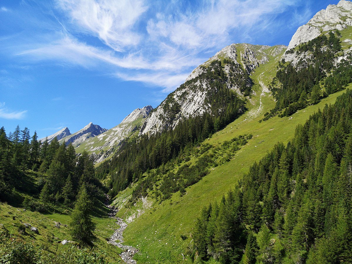 I prati di montagna costituiscono uno dei più grandi serbatoi di carbonio organico del suolo nell'Europa centrale. Foto: crash71100 CC0 1.0 DEED CC0 1.0 Universal Public Domain Dedication
