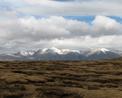 Nell'Altopiano Tibetano in futuro i benefici del miglioramento della vegetazione per il controllo dell'erosione saranno compromessi dal cambiamento climatico. Foto: McKay Savage CC BY 2.0 DEED Attribution 2.0 Generic
