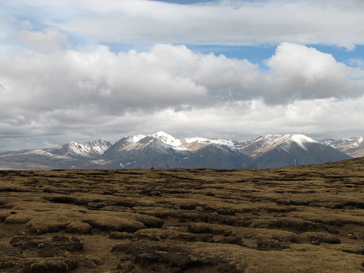Nell'Altopiano Tibetano in futuro i benefici del miglioramento della vegetazione per il controllo dell'erosione saranno compromessi dal cambiamento climatico. Foto: McKay Savage CC BY 2.0 DEED Attribution 2.0 Generic