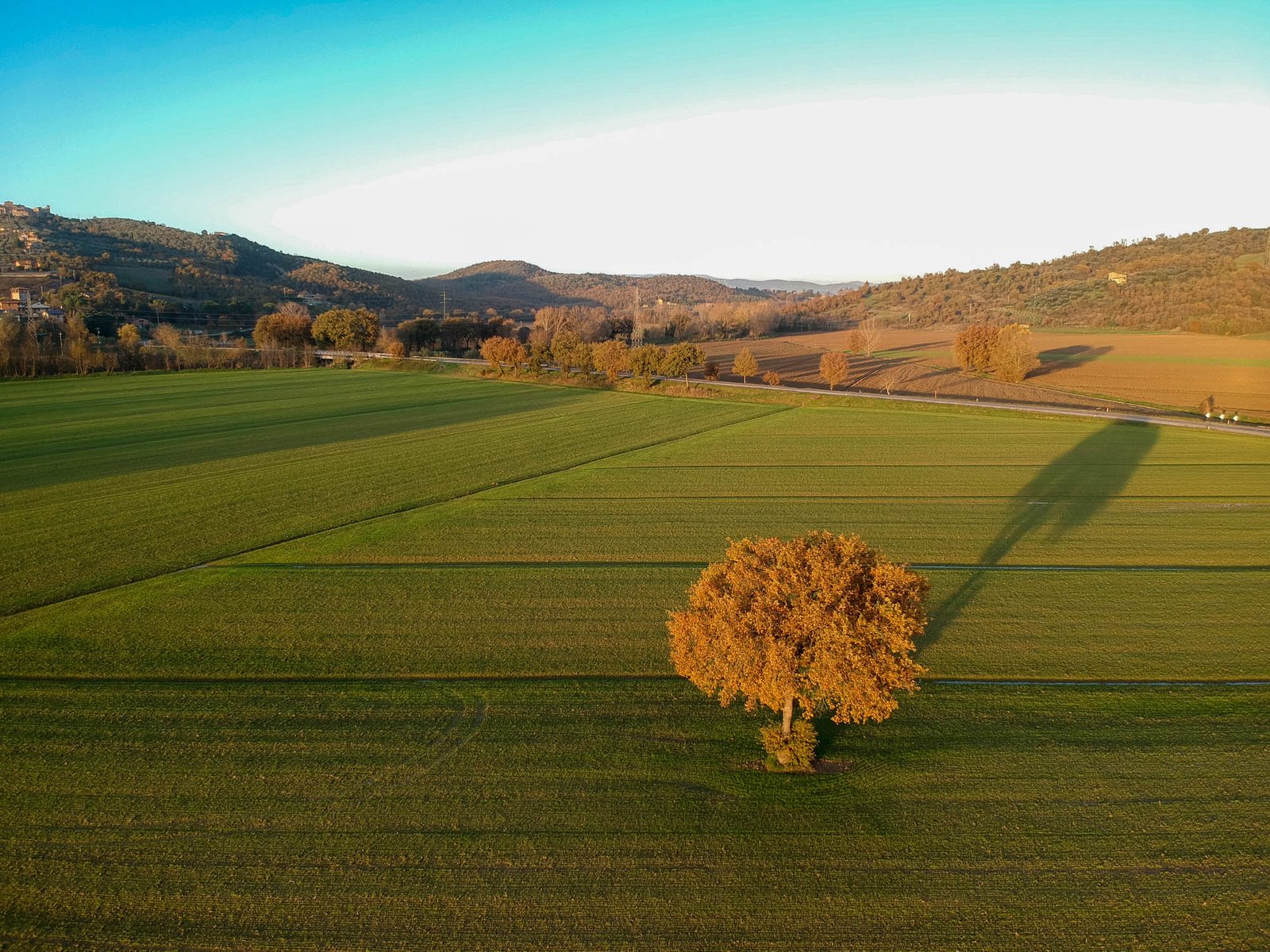 Istituita nel 2016, la Banca nazionale delle terre agricole ha permesso di rimettere in attività diversi terreni fermi per fallimento. FOTO: Matteo Berlenga