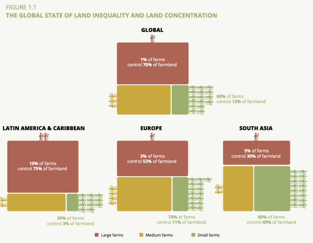 La fotografia globale della disuguaglianza agraria e della distribuzione delle terre. FONTE: Rapporto IPES FOOD 2024.