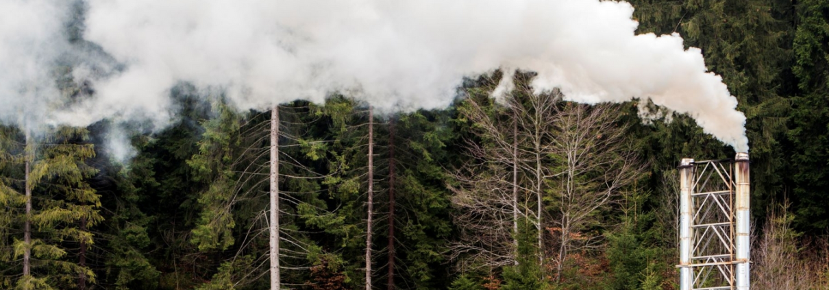 I crediti di carbonio acquistati sul mercato permettono alle aziende di raggiungere i propri obiettivi climatici. FOTO: Envato.