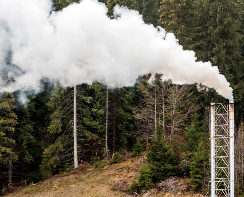 I crediti di carbonio acquistati sul mercato permettono alle aziende di raggiungere i propri obiettivi climatici. FOTO: Envato.