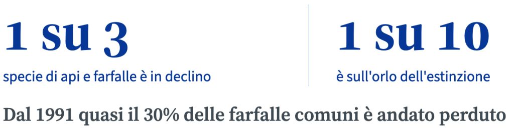Il calo di insetti impollinatori nella Ue. FONTE: Consiglio dei ministri Ue.