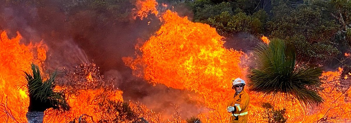 Gli incendi forestali in Australia impattano anche sul sottobosco nascosto e la biodiversità. Foto: New Matilda from Brisbane Australia, Australia ATTRIBUTION 2.0 GENERIC CC BY 2.0 Deed