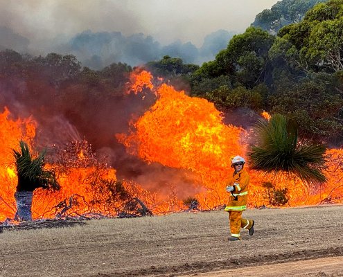 Gli incendi forestali in Australia impattano anche sul sottobosco nascosto e la biodiversità. Foto: New Matilda from Brisbane Australia, Australia ATTRIBUTION 2.0 GENERIC CC BY 2.0 Deed