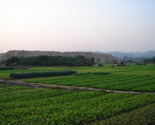 In Cina l'aggiunta di biochar nei campi ha generalmente fatto crescere il contenuto di carbonio organico negli aggregati del suolo. Foto: Flickr Chris Farmland crops Changan Town China ATTRIBUTION-NONCOMMERCIAL 2.0 GENERIC CC BY-NC 2.0 Deed