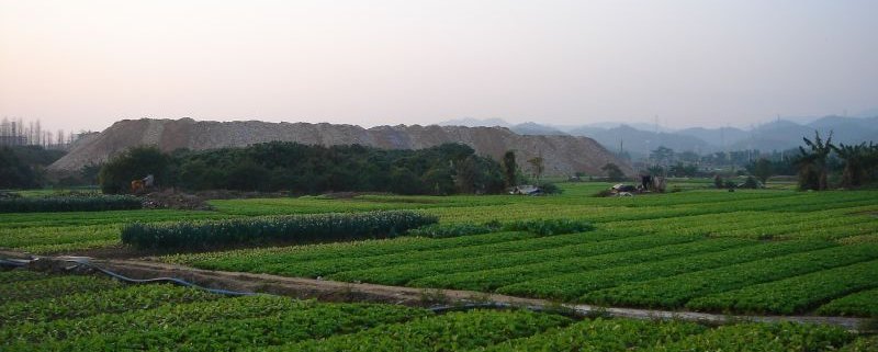 In Cina l'aggiunta di biochar nei campi ha generalmente fatto crescere il contenuto di carbonio organico negli aggregati del suolo. Foto: Flickr Chris Farmland crops Changan Town China ATTRIBUTION-NONCOMMERCIAL 2.0 GENERIC CC BY-NC 2.0 Deed
