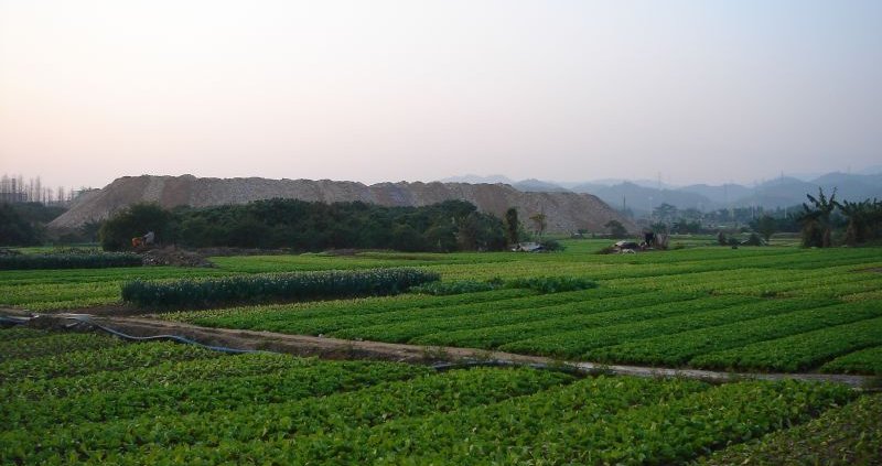 In Cina l'aggiunta di biochar nei campi ha generalmente fatto crescere il contenuto di carbonio organico negli aggregati del suolo. Foto: Flickr Chris Farmland crops Changan Town China ATTRIBUTION-NONCOMMERCIAL 2.0 GENERIC CC BY-NC 2.0 Deed