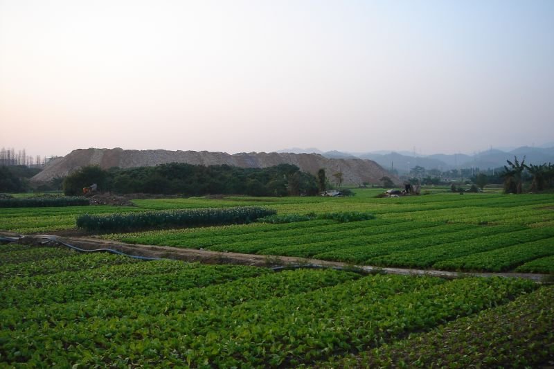 In Cina l'aggiunta di biochar nei campi ha generalmente fatto crescere il contenuto di carbonio organico negli aggregati del suolo. Foto: Flickr Chris Farmland crops Changan Town China ATTRIBUTION-NONCOMMERCIAL 2.0 GENERIC CC BY-NC 2.0 Deed